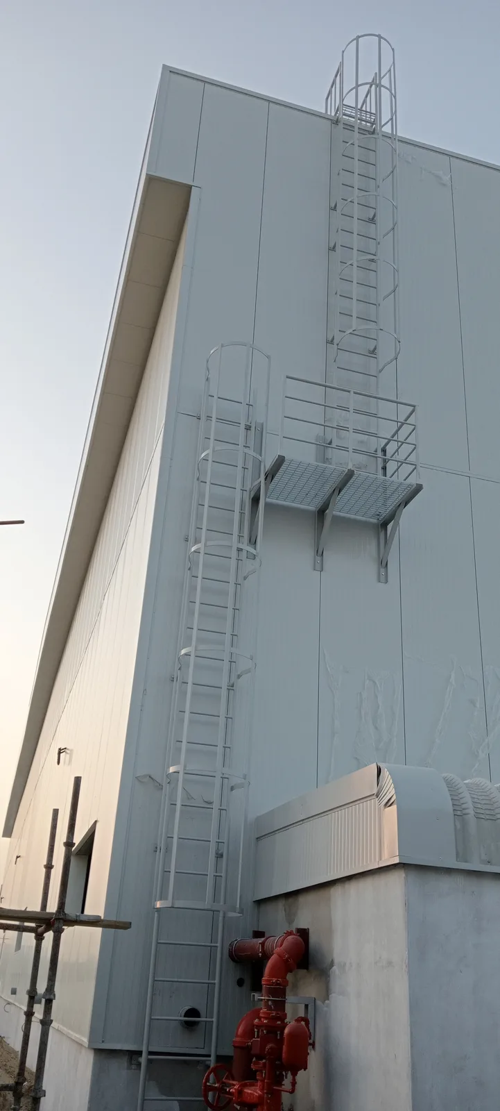 Cat Ladder &amp; Safety Cage