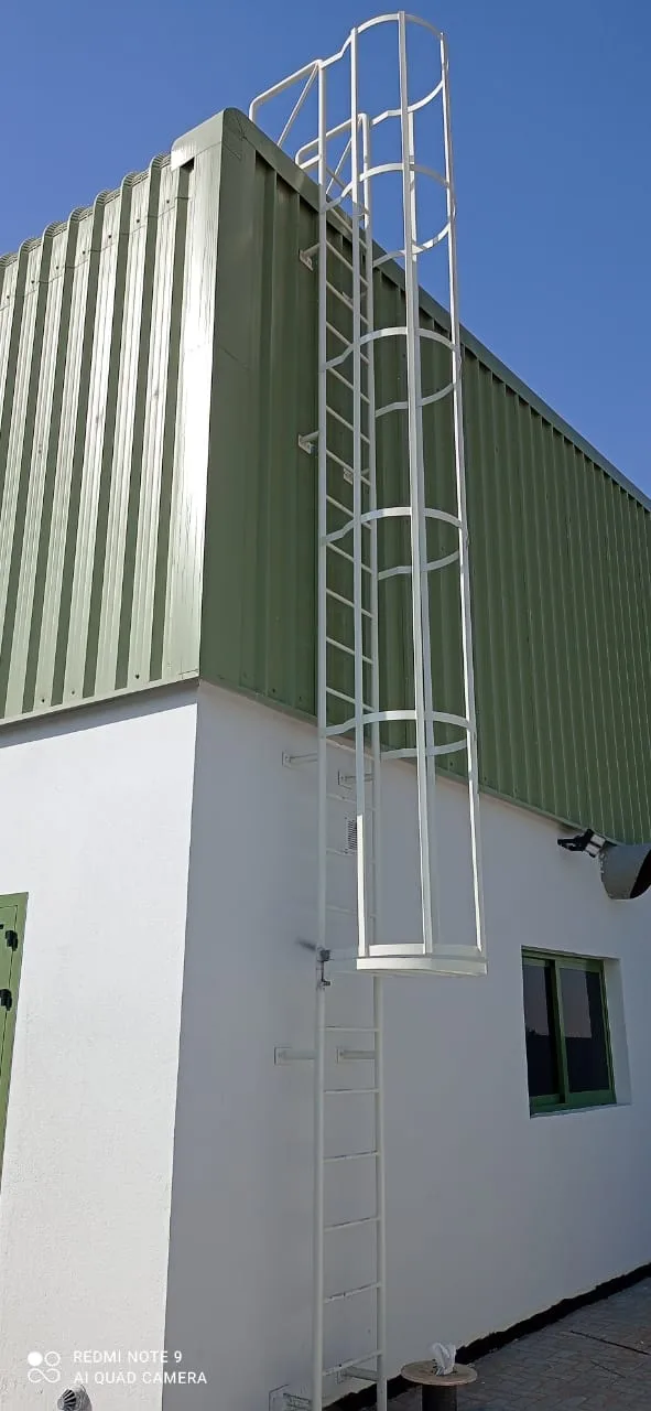 Cat Ladder &amp; Safety Cage