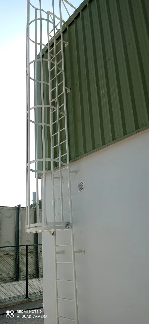 Cat Ladder &amp; Safety Cage